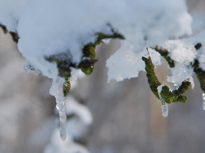 Zima u jezuitów w Gliwicach