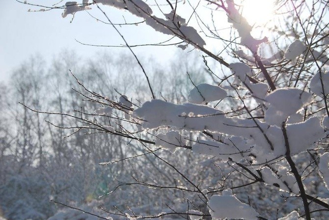 Zima u jezuitów w Gliwicach