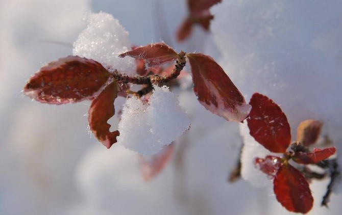 Zima u jezuitów w Gliwicach