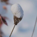 Zima u jezuitów w Gliwicach