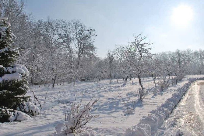Zima u jezuitów w Gliwicach