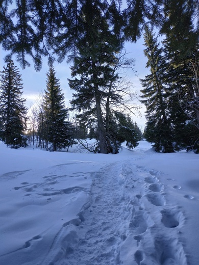 Skauci Europy w Karkonoszach