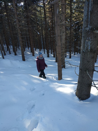 Skauci Europy w Karkonoszach