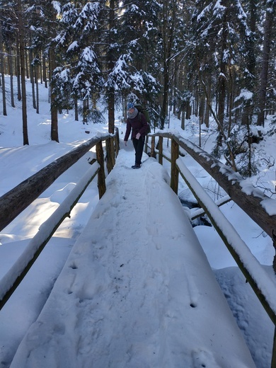 Skauci Europy w Karkonoszach