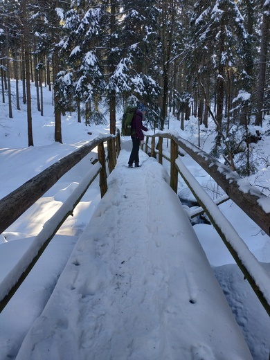 Skauci Europy w Karkonoszach