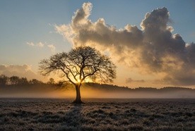 Klasztorny kucharz, który nosił w sobie bezcenną tajemnicę