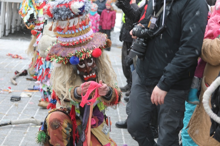 50. Gody Żywieckie w obiektywie - 2019