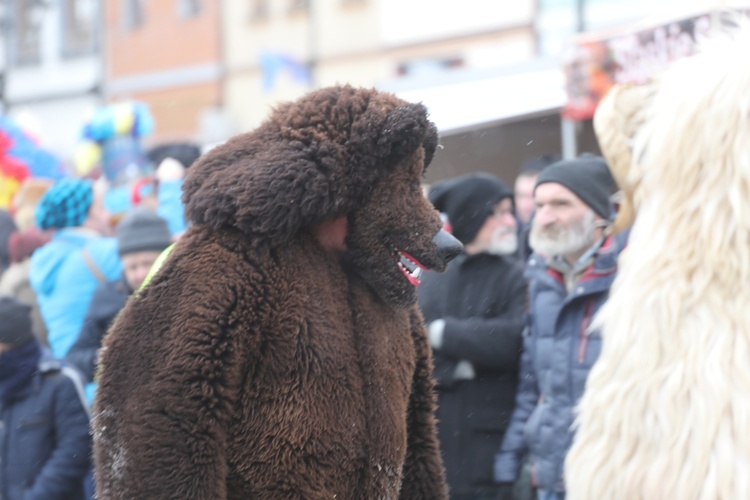 50. Gody Żywieckie w obiektywie - 2019