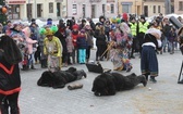 50. Gody Żywieckie w obiektywie - 2019