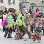 50. Gody Żywieckie w obiektywie - 2019