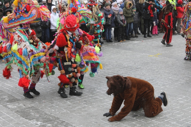 50. Gody Żywieckie w obiektywie - 2019