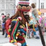 50. Gody Żywieckie w obiektywie - 2019