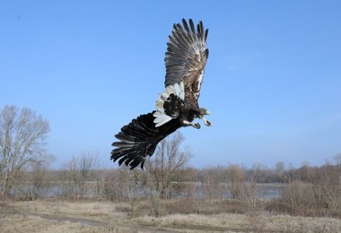 Bieliki czują wiosnę