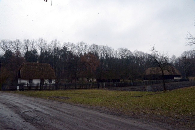 Koziołek przyjęty do skansenu