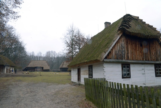 Koziołek przyjęty do skansenu