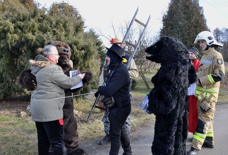 Wodzenie niedźwiedzia w Dębiu