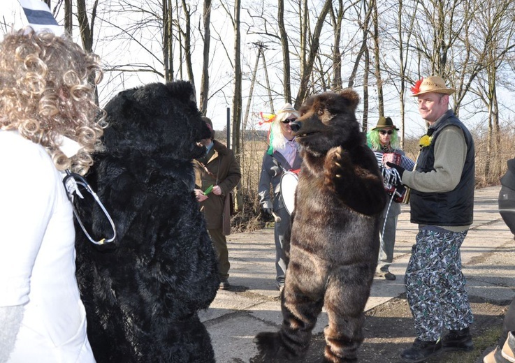 Wodzenie niedźwiedzia w Dębiu