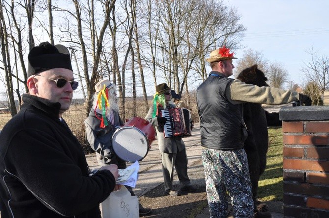 Wodzenie niedźwiedzia w Dębiu