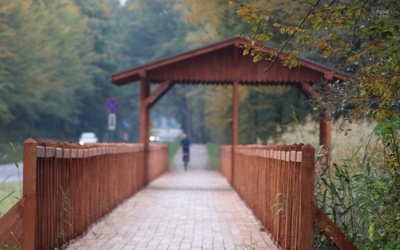 Zespół Przyrodniczo - Krajobrazowy Zwierzyniec Królewski – kładka