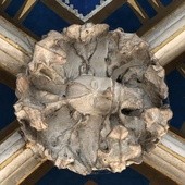 Odkrycia w sandomierskiej katedrze 