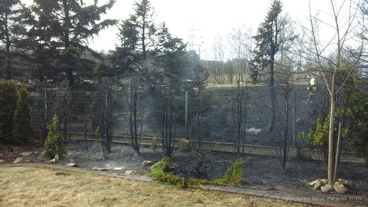 Mysłowice: pożar traw i spalony podnośnik Pogotowia Energetycznego