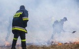 Ponad 200 strażaków walczyło z ogniem