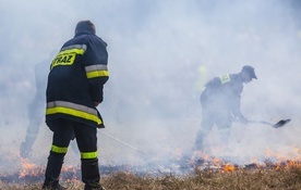 Ponad 200 strażaków walczyło z ogniem