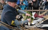 Zapusty w Jedlińsku koło Radomia