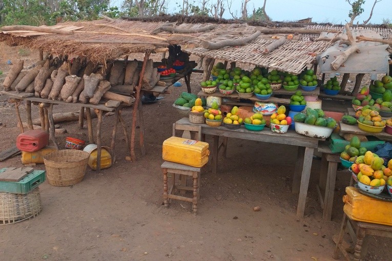 Bp Janusz Ostowski w Togo