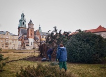 Wichury nad Małopolską