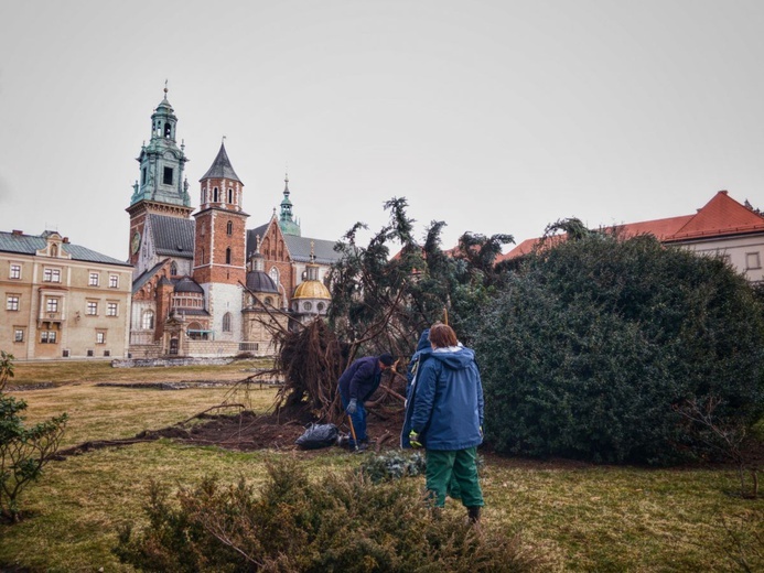 Wichury nad Małopolską