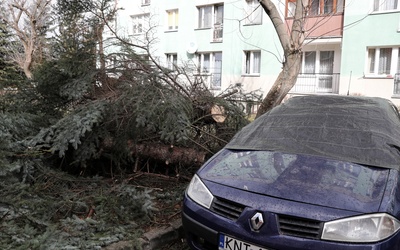 Po nocnym huraganie: Najtrudniejsza jest sytuacja w województwach śląskim i małopolskim