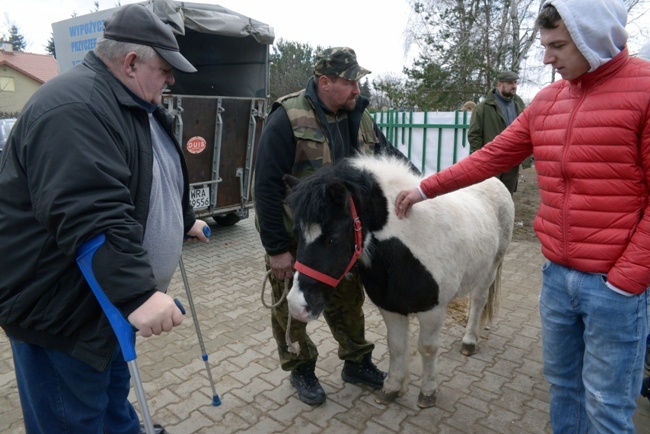 Targi Końskie w Skaryszewie