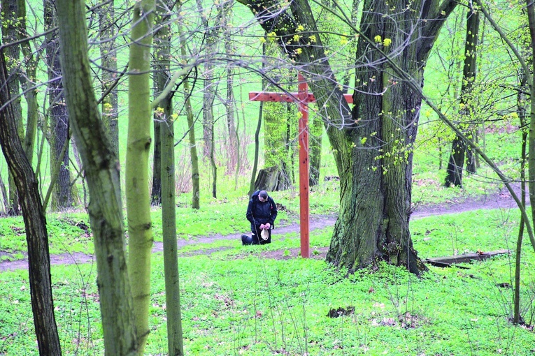 ▲	Pamiętaj, że osoba wybierająca się na EDK przyjmuje na siebie wszelkie ryzyko związane z przejściem drogi.