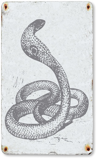 Kobra egipska to wyjątkowo niebezpieczny gad. Jego ukąszenie jest śmiertelne. Wąż ten stanowił symbol władzy faraonów.