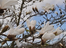 Cuda dzieją się codziennie