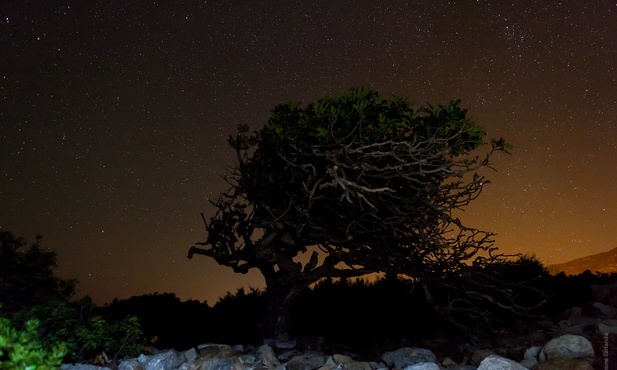 Bóg chce naszego nawrócenia