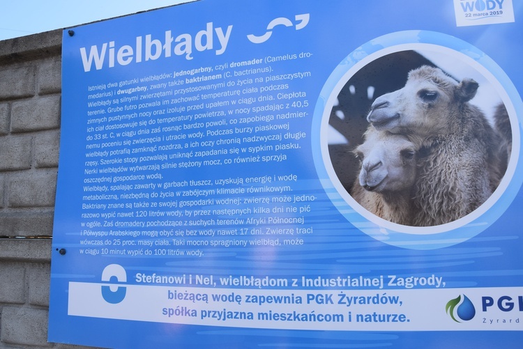 Światowy Dzień Wody w Żyrardowie