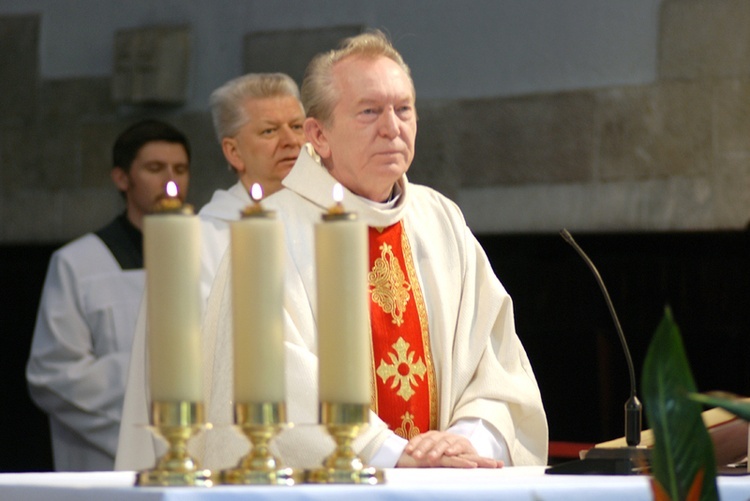 Ks. prof. Stanisław Wilk.