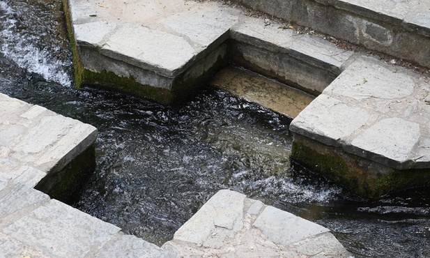 Wierzy cały człowiek