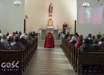 Poświęcenie nowych stacji drogi krzyżowej w Dzierżoniowie