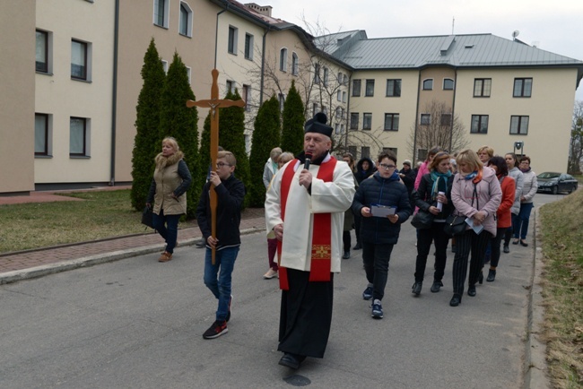 Droga Krzyżowa wokół radomskiego seminarium