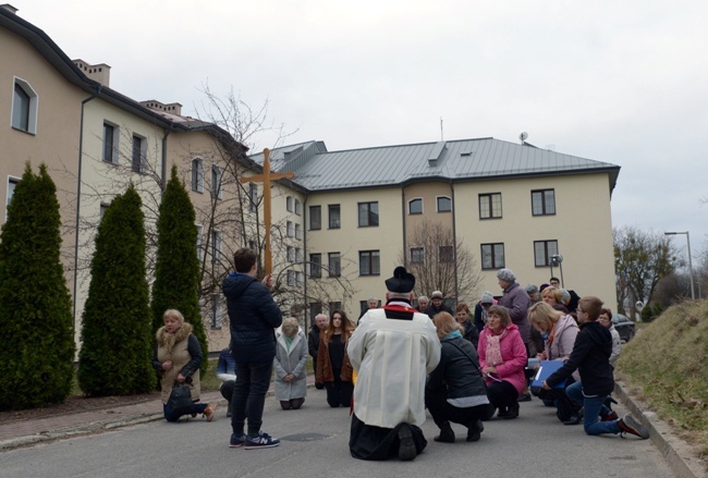 Droga Krzyżowa wokół radomskiego seminarium