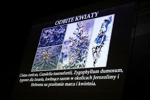 O Całunie Turyńskim w kościele NSPJ w Bielsku-Białej.