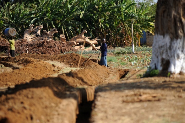 Mali: narasta konflikt etniczny, dżihadyści rosną w siłę