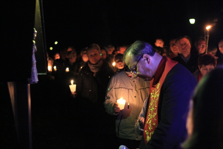 Droga Krzyżowa aptekarzy w Kamieniu Śląskim