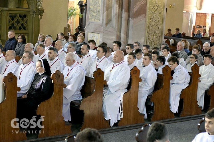 Błogosławieństwo nadzwyczajnych szafarzy, ceremoniarzy i lektorów