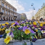 Warszawa zapachniała wiosną