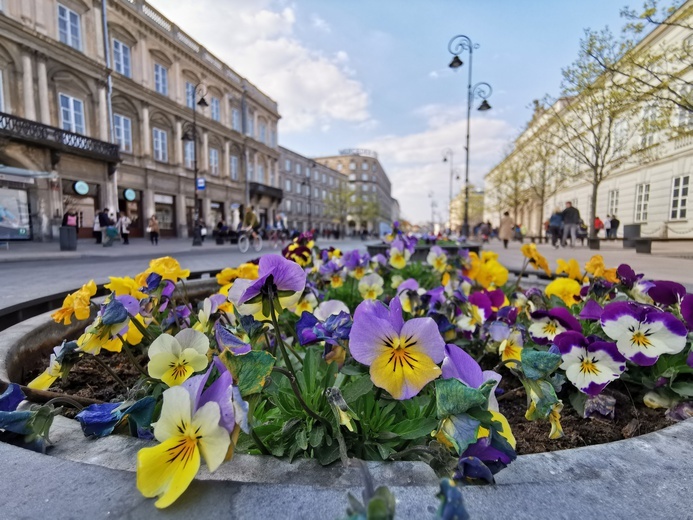 Warszawa zapachniała wiosną