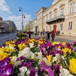 Warszawa zapachniała wiosną